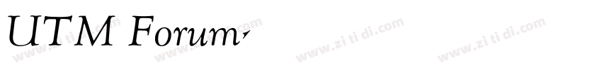 UTM Forum字体转换